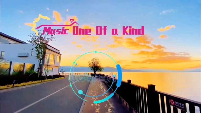 一首好听的英文歌曲【One of a kind】,节奏动感好听!