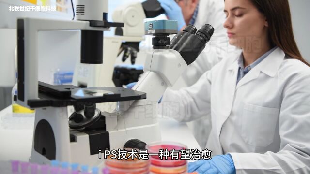 北联世纪iPS诱导多能干细胞精子体外培养技术