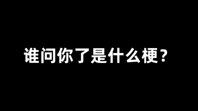 谁问你了是什么梗? 谁问你了