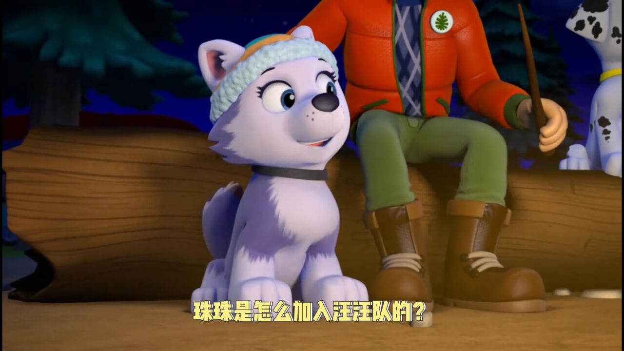 汪汪队立大功:珠珠是怎么加入汪汪队的?