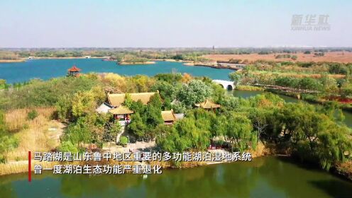 山东淄博：马踏湖景色迷人