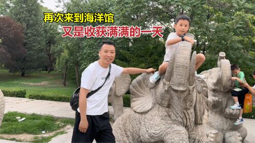 时隔几年再次带二宝去北京海洋馆，一张门票158，可把二宝玩美了