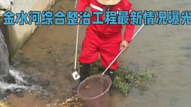 金水河综合整治工程最新情况