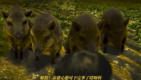 2023爆笑韩国喜剧电影《熊男》详细解说两只可爱小熊幻化人形 
