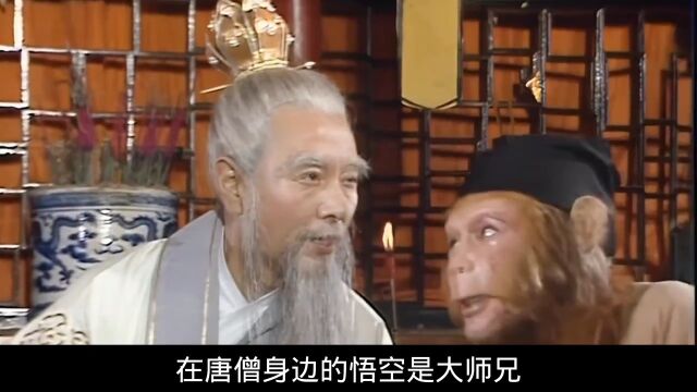 老神仙和小猢狲的师徒情