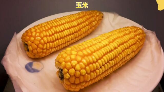 18秒看完整个玉米的生长全过程#玉米 #生长过程 #种植的乐趣 #阳台小院均可种植#密集恐惧症