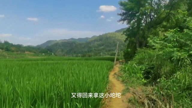 乡村里的生活.惬意且闲暇的乡村,治愈人的风景