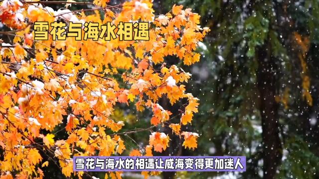 威海雪海相遇,浪漫醉人如诗