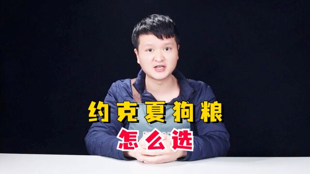 约克夏狗粮怎么选?