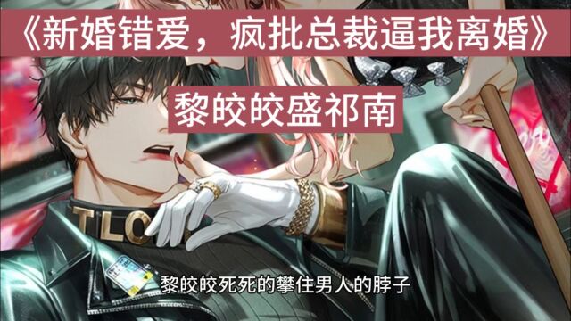 《新婚错爱,疯批总裁逼我离婚》黎皎皎盛祁南&全集在线免费阅读