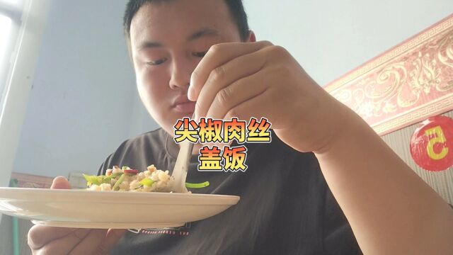 尖椒肉丝盖饭香香的