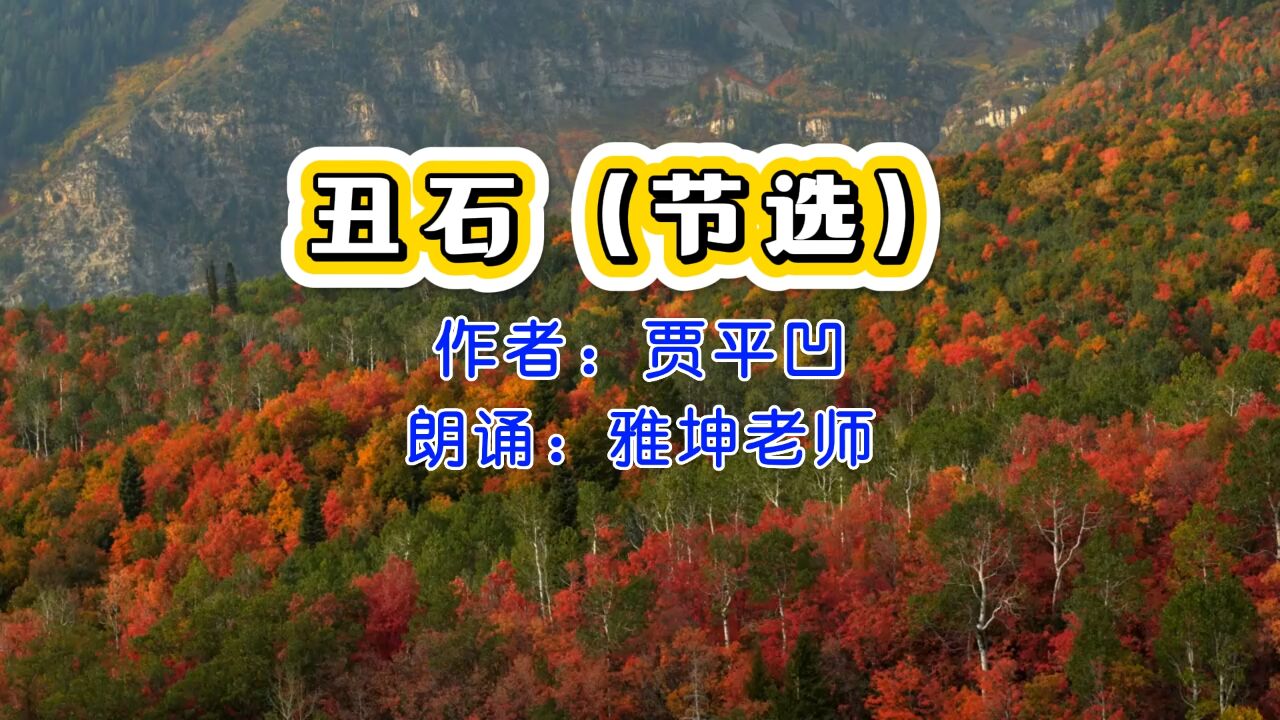 贾平凹《丑石》（节选），朗诵：雅坤老师_高清1080P在线观看平台_腾讯视频