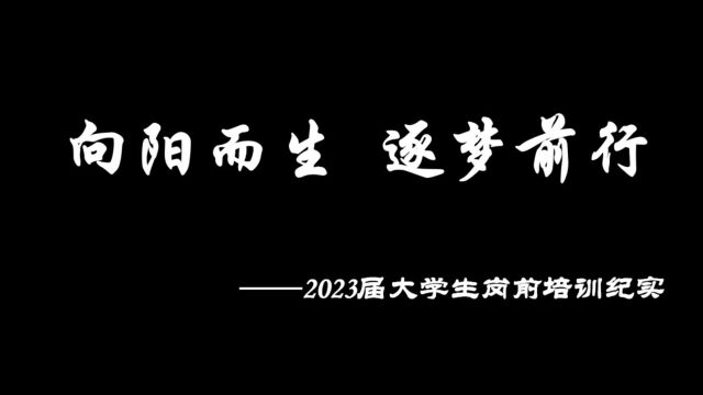 2023届大学生岗前培训纪实