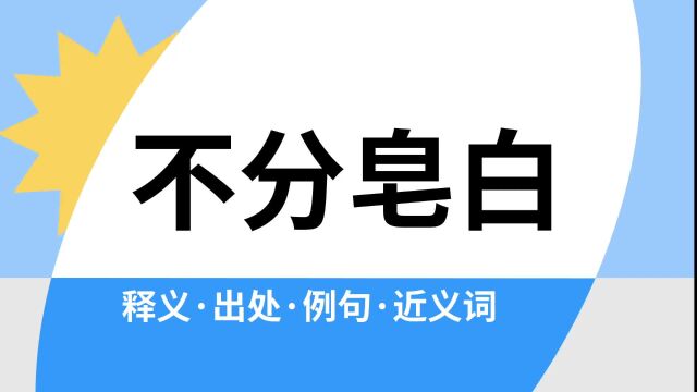 “不分皂白”是什么意思?