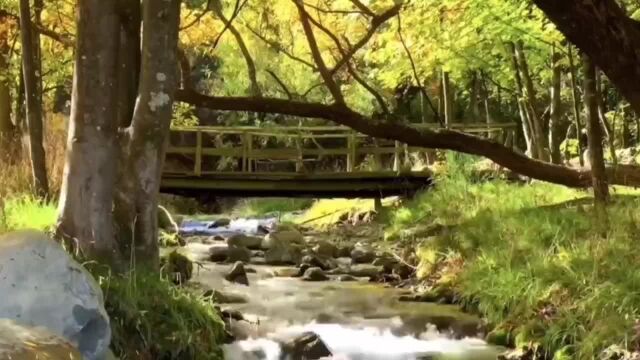 听着缓缓的流水声,深深地呼吸,一呼一吸之间享受这份安宁,放松