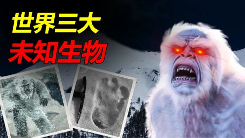 最知名的三大未知生物，12米长的巨大水怪，3米高的长毛兽人