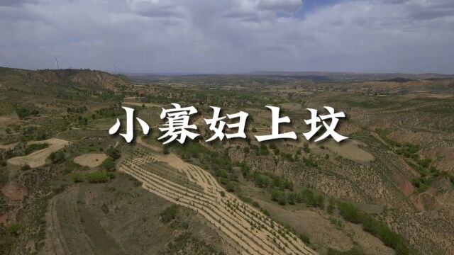 陕北原生态民歌《小寡妇上坟》演唱 马生军