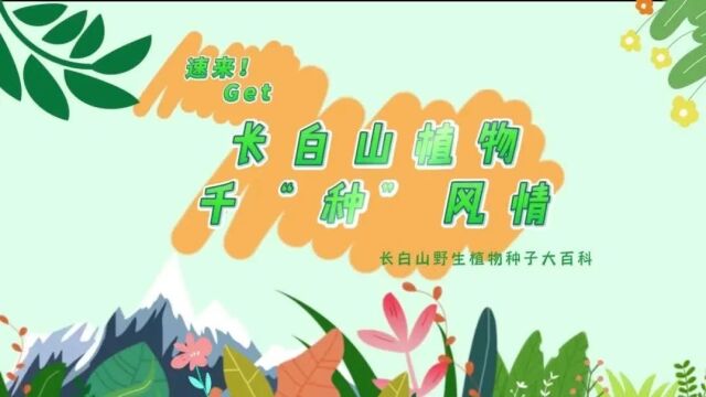 探秘!长白山植物千“种”风情~稠李