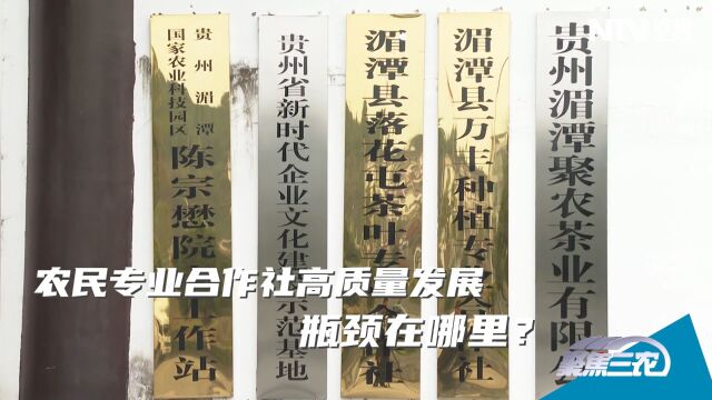 [聚焦三农]农民合作社如何创新才能实现高质量发展