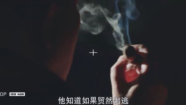 如此紧张的局势,后面又会发生什么呢,想看新剧情,搜《卧底警花》