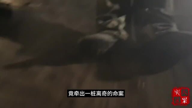 吉林长白山梦境擒凶:一场匪夷所思的梦境竟牵扯出一桩真实血案 #真实案件 #真实事件 #梦境擒凶事件