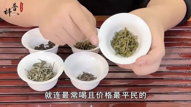 为何中国要花2个亿,从印度进口茶叶?难道印度茶比中国茶更好?#科普#知识#生活#茶#茶文化 3