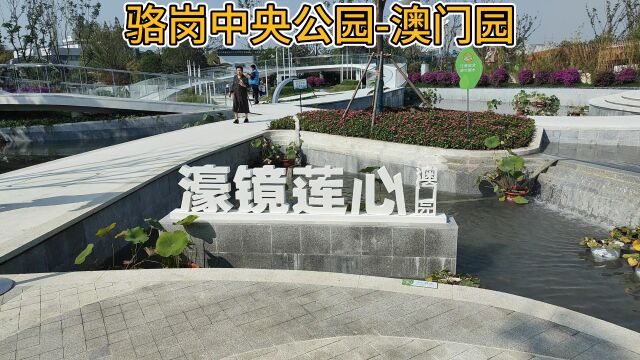 濠镜莲心,映玉笙香,合肥骆岗中央公园澳门园