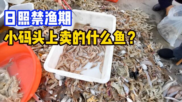 大泉沟渔港码头:日照最便宜的海鲜码头,原因说出来脸红