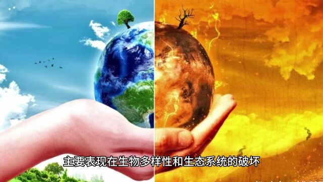 生物质能的环境影响与管理