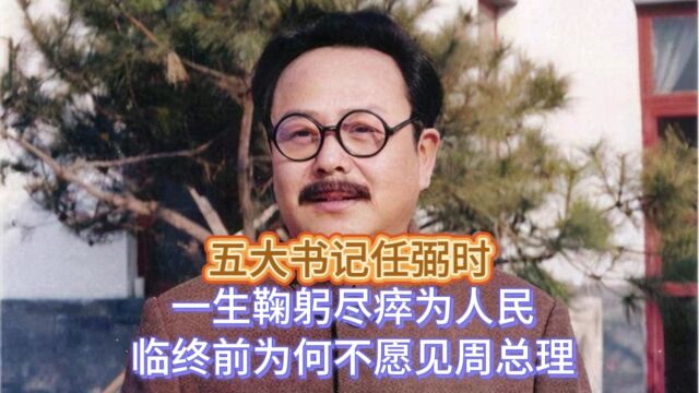 五大书记任弼时,一生鞠躬尽瘁为人民,临终前为何不愿见周总理?