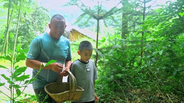 之前和儿子一起种的芒果树挂果了,以后准备扩大规模直接种1000颗 #我的乡野山居生活