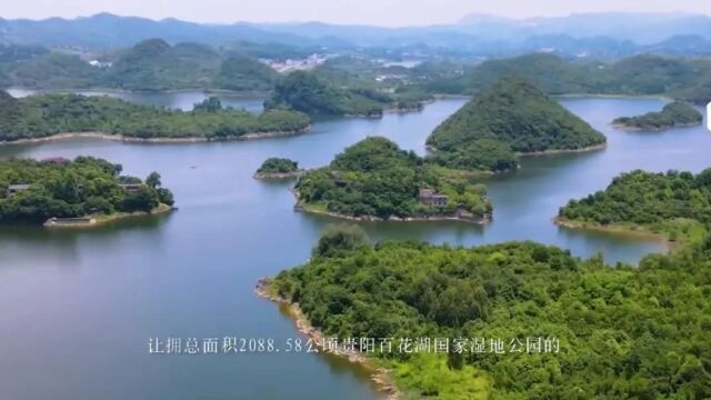 2023观山湖区秋季房地产交易会隆重启幕,政府补贴、房企让利安家福利享不停