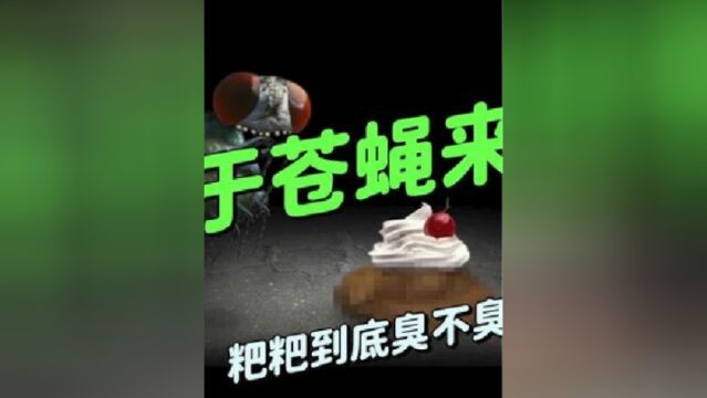 趣味冒险游戏Mitoza《无限轮回》苍蝇篇:你们说苍蝇觉得粑粑臭吗