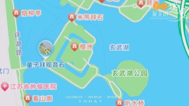 樱州阳光樱绽放过程