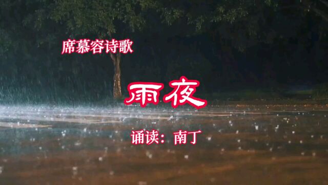 席慕容诗歌《雨夜》诵读:南丁