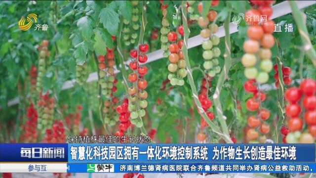 莱西构建多元化食物供给体系,打造联农带农富农的乡村振兴新样板