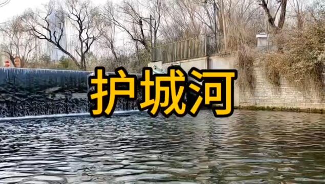 乘船游览济南护城河