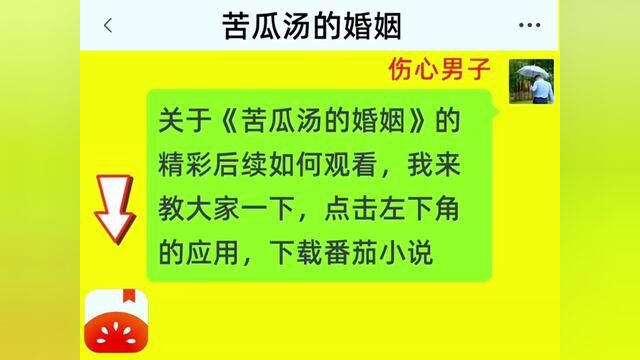 《苦瓜汤的婚姻》全集,点击左下方下载(番茄小说)精彩后续听不停#番茄小说 #小说