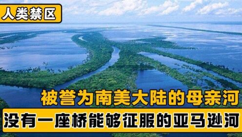 唯一没有建过桥的亚马逊河，被誉为母亲河，却孕育出了人类禁区