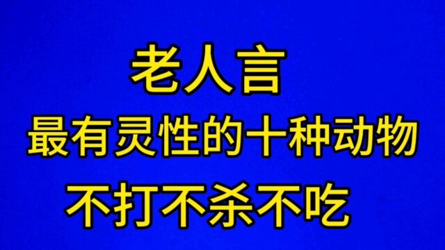 老人言最有灵性的十种动物,不打不杀不吃