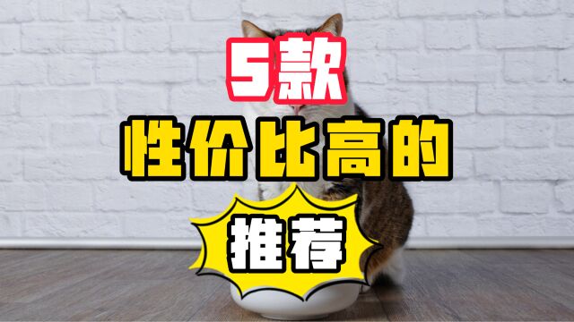 5款“性价比高”的猫粮推荐,总有一款适合你家猫!