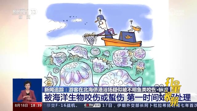 被海洋生物咬伤或蜇伤,第一时间该如何处理?