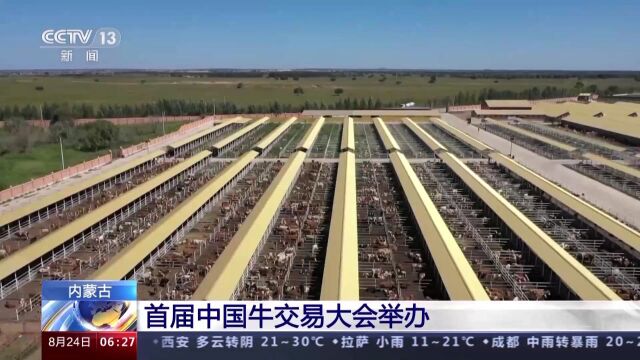 20个项目集中签约,首届中国牛交易大会在内蒙古举办