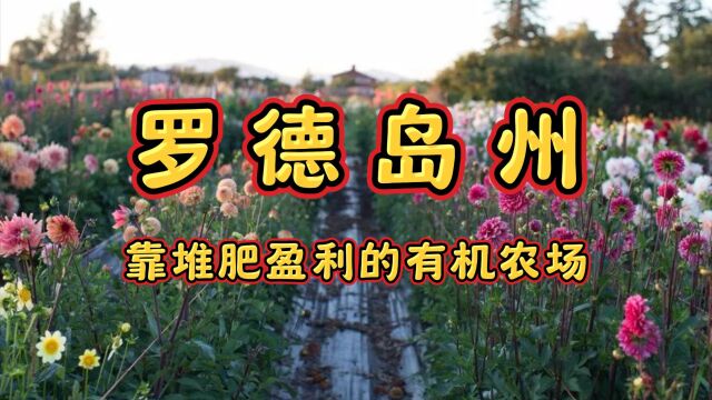 罗德岛州靠堆肥盈利的有机农场,年收入120万美元,仅用4个工人