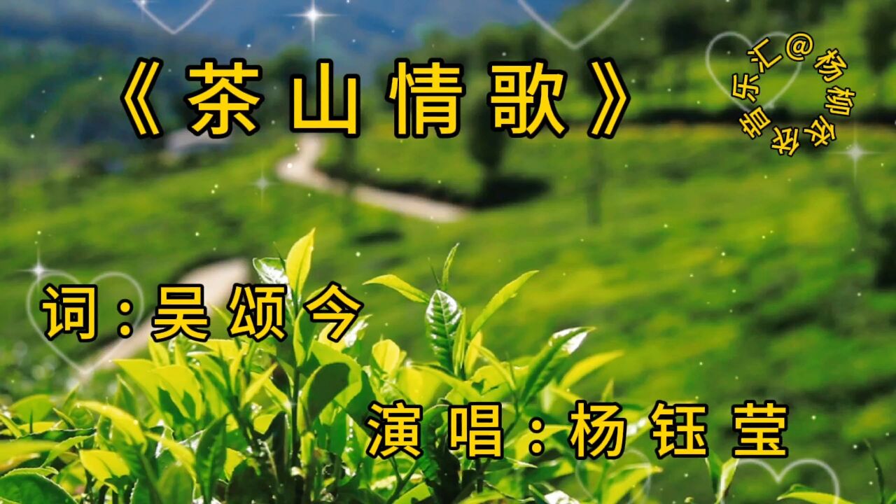 流行歌曲,杨钰莹一首《茶山情歌》甜美的歌声听醉了!