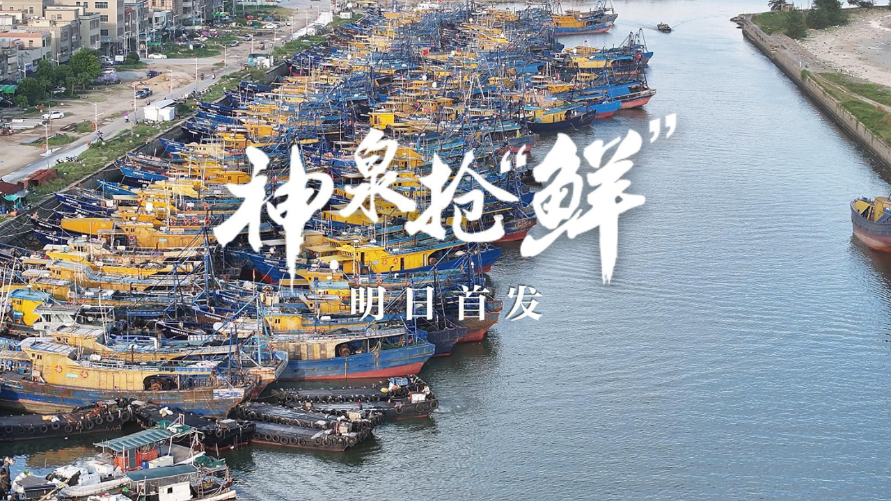 2023年惠来县神泉渔港开渔微纪录片《神泉抢"鲜"》8月19日精彩上线!