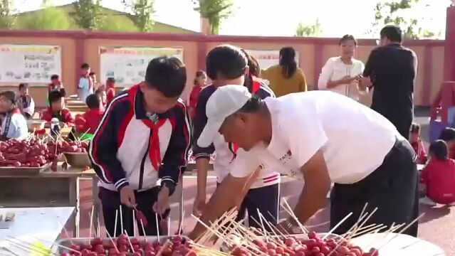 枣庄市薛城区:红果飘香好“丰”景 劳动实践乐趣多