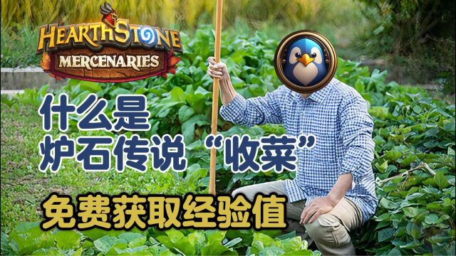 经验分享  炉石传说什么是收菜?手把手教你获取免费经验值