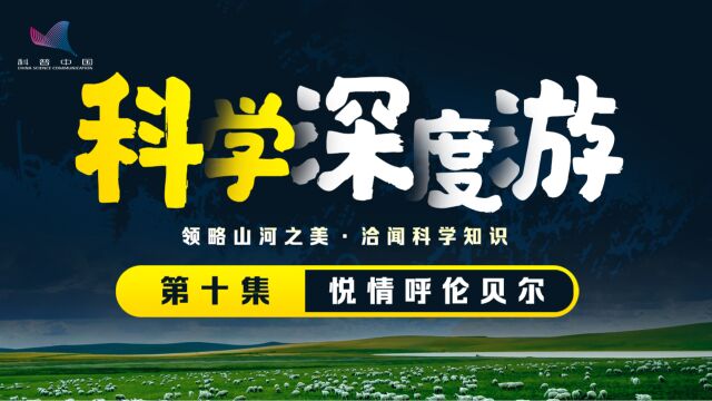 满眼翠色的呼伦贝尔,一起感受不可错过的视觉盛宴!