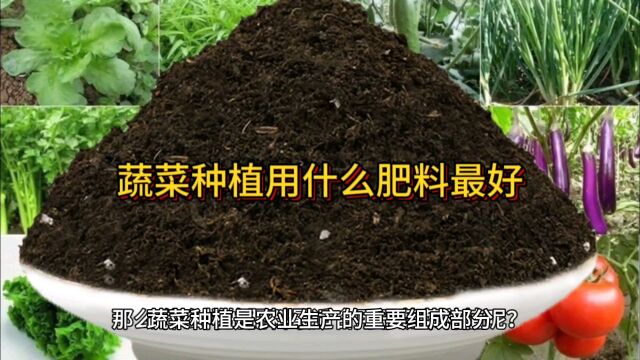 蔬菜种植用什么肥料最好